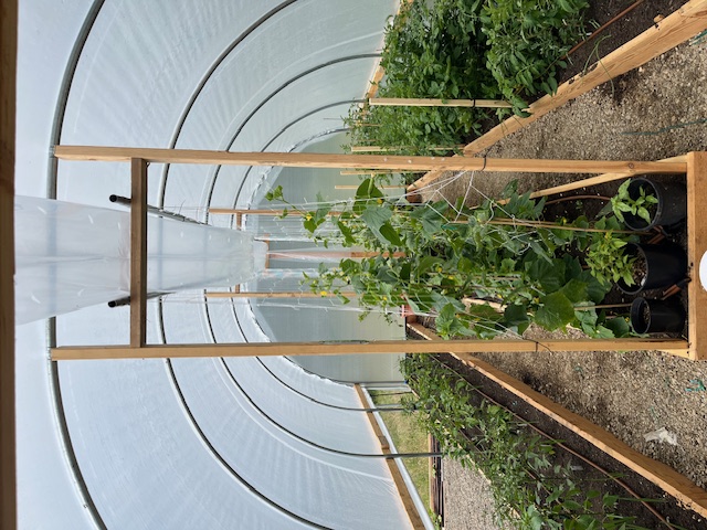 13' greenhouse