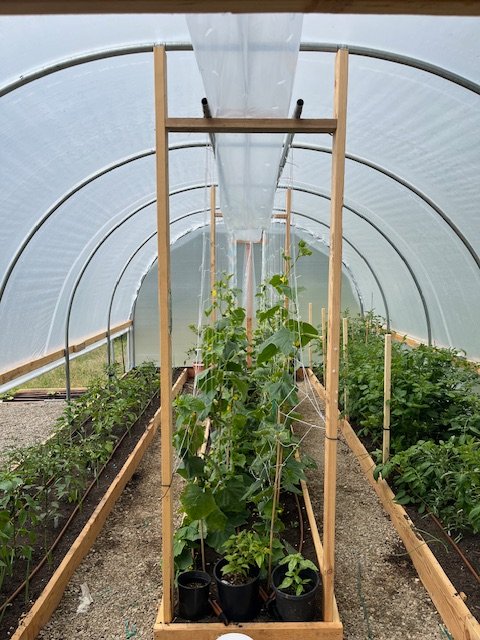 13' greenhouse kit manufactured in Salem Oregon