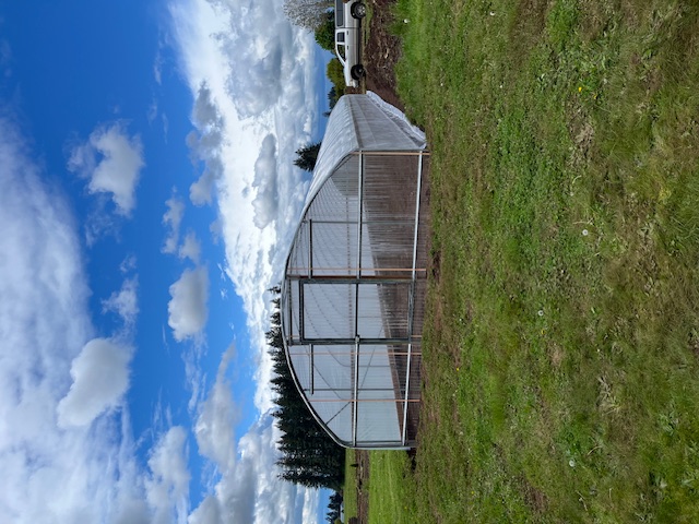 20' greenhouse